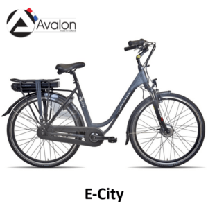 Avalon E-City