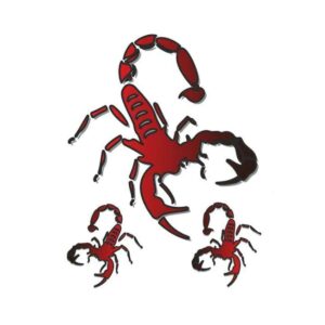 No Label | Stk. Crawfish 3 pcs 10 X 12 cm