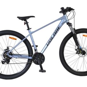Volare X-Trail MTB - Jongens - 29 inch - M - Grijs - 21 versnellingen